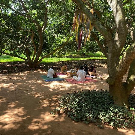 Art Forest Pondicherry Dış mekan fotoğraf