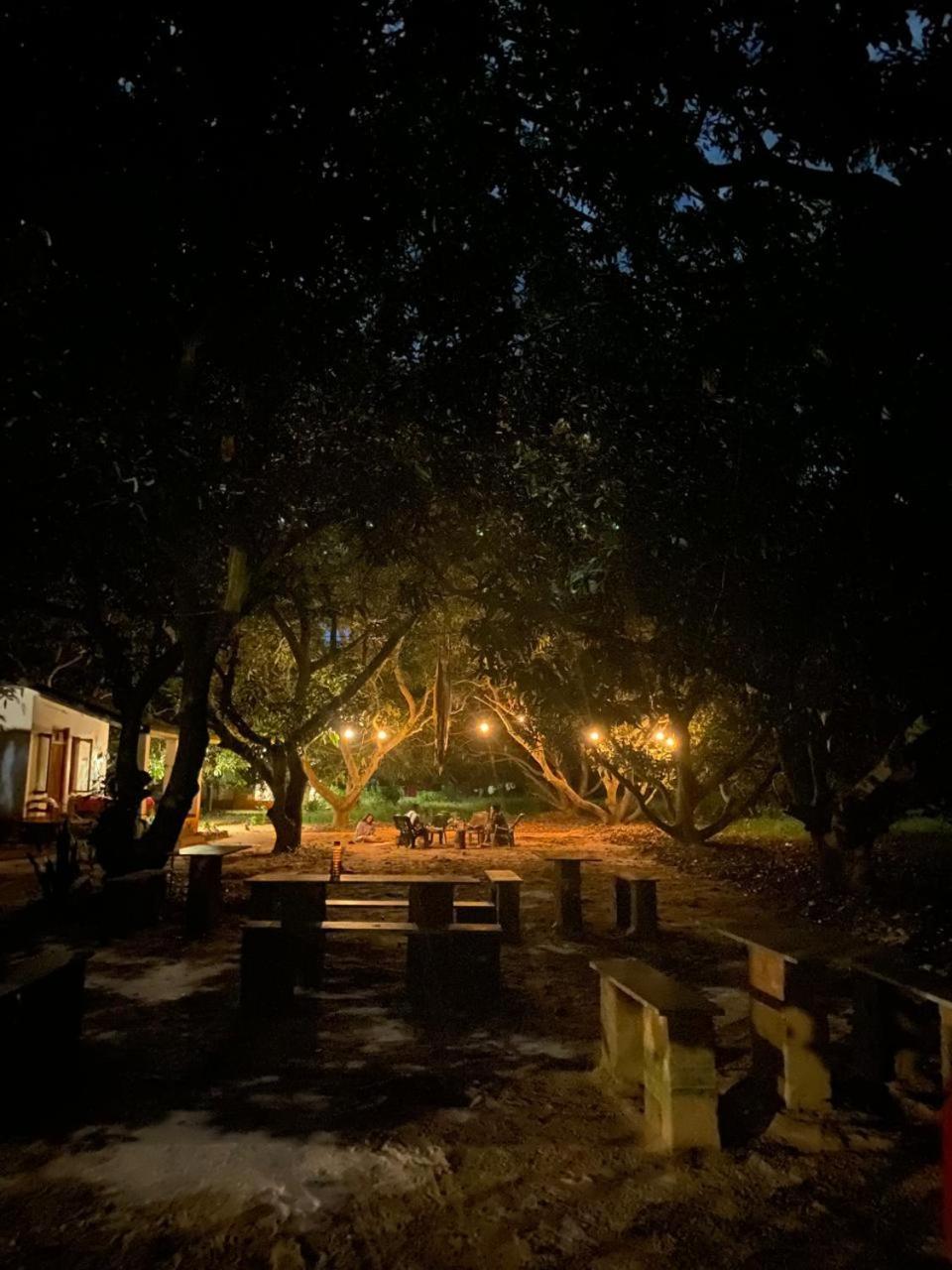 Art Forest Pondicherry Dış mekan fotoğraf