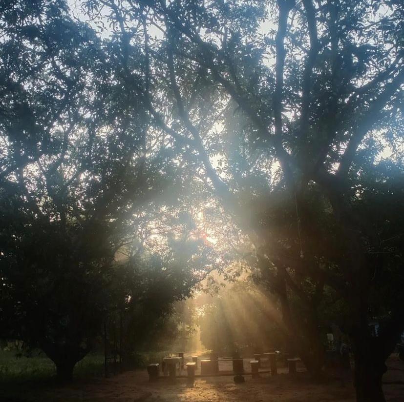 Art Forest Pondicherry Dış mekan fotoğraf
