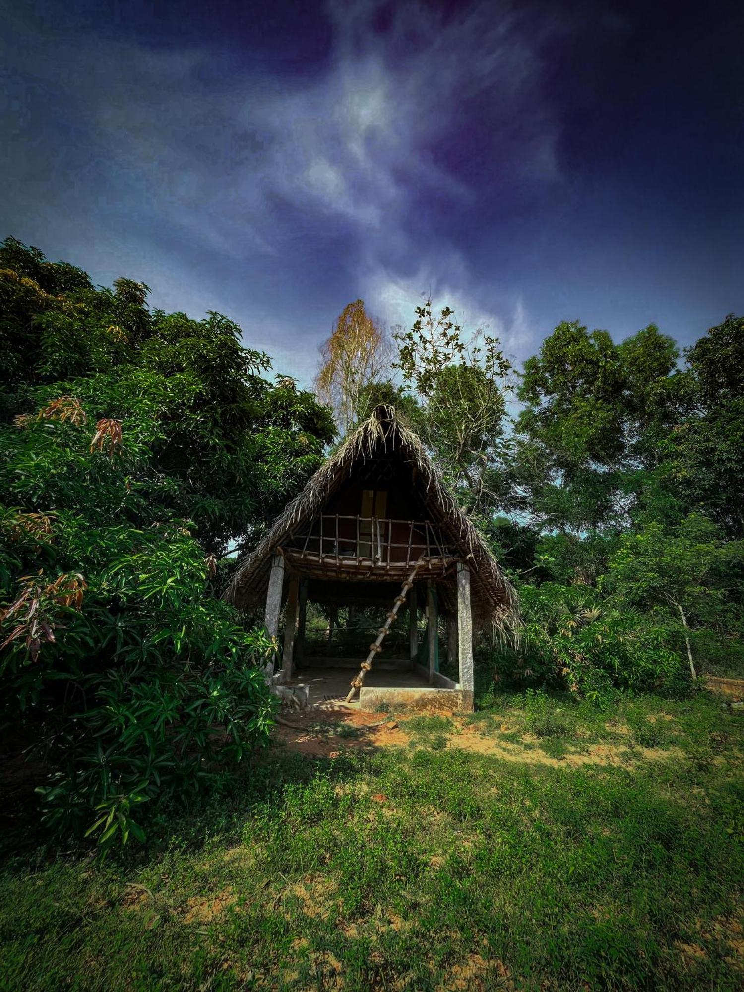 Art Forest Pondicherry Dış mekan fotoğraf