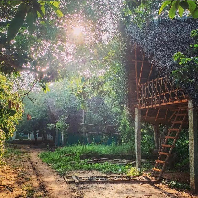 Art Forest Pondicherry Dış mekan fotoğraf