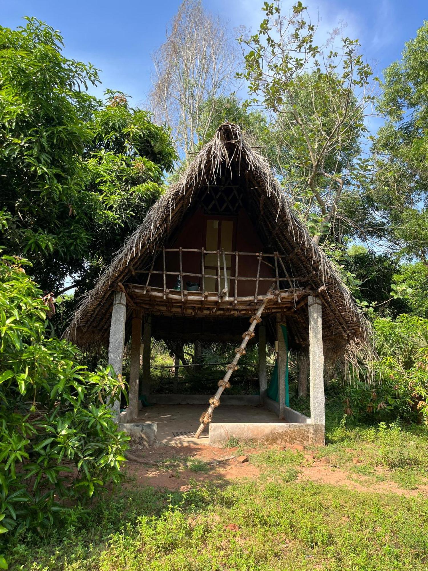 Art Forest Pondicherry Dış mekan fotoğraf