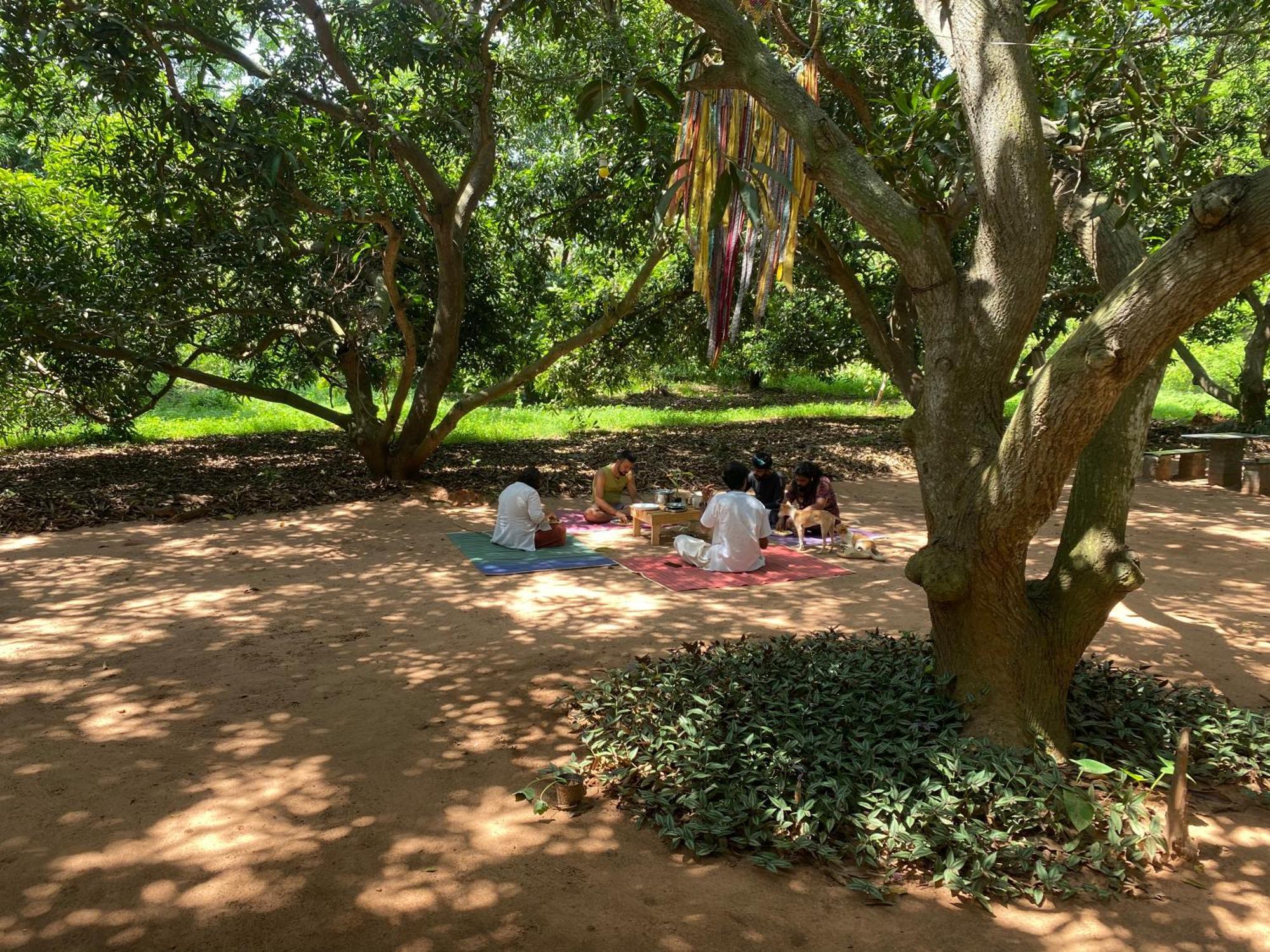 Art Forest Pondicherry Dış mekan fotoğraf