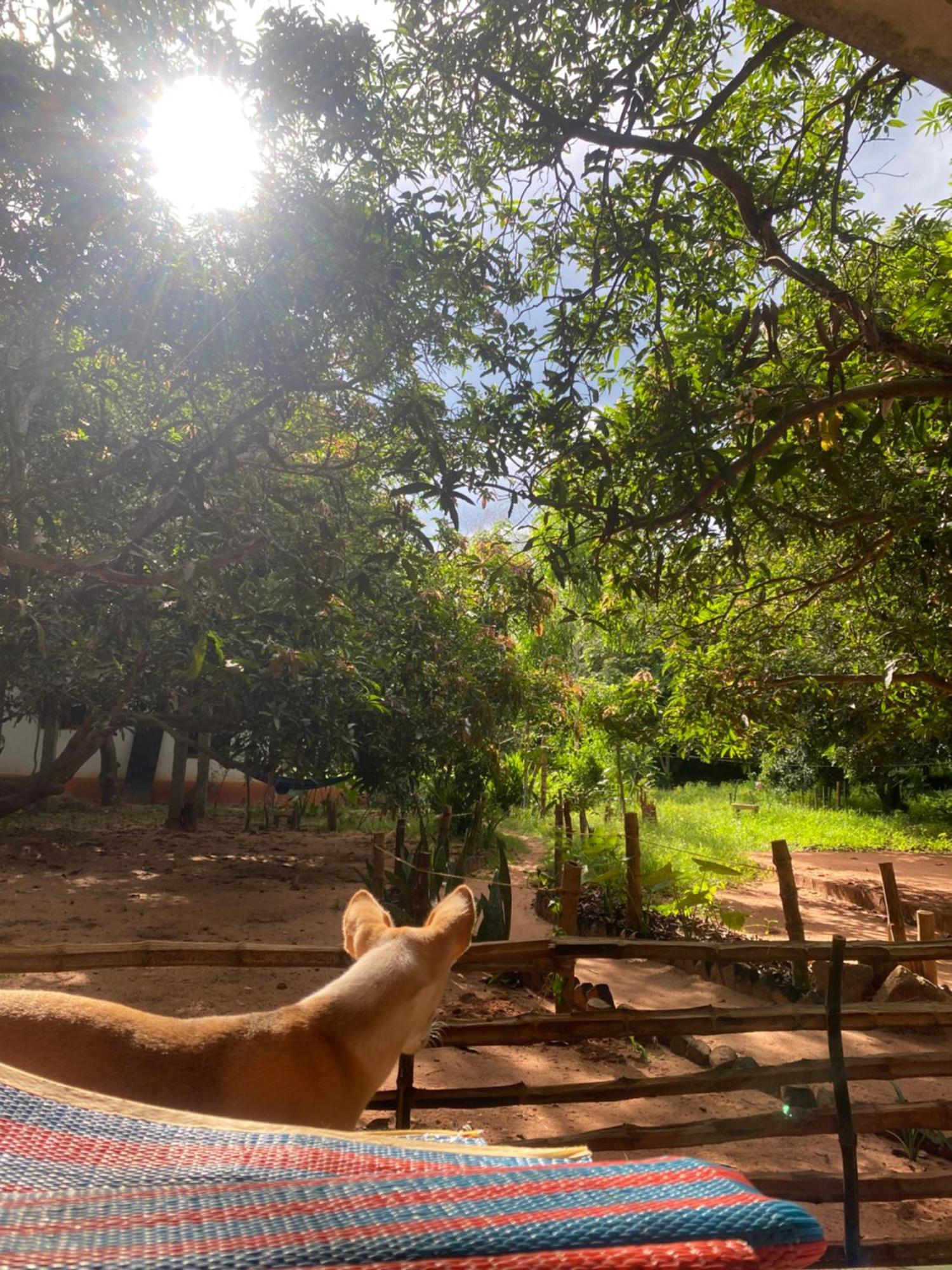Art Forest Pondicherry Dış mekan fotoğraf
